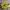 New Balance Casual Sneakers Pria black yellow photo 2