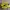 New Balance Casual Sneakers Pria Black Yellow