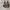 Vintage Streetwear Sneakers Pria brown cream photo 6