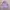 Japanese Brand Vintage Casual Sweatshirt Pria Purple