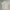 Vintage Y2K T-shirt Pria white green photo 5