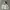 Vintage Streetwear Hoody Pria gray photo 3