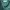 Y2K Minimalist Crop top Wanita green photo 4
