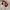 Streetwear Gorpcore Track jacket Pria white red photo 4