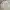 Streetwear Gorpcore Track jacket Pria white red photo 3