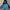Vintage Casual Parka Pria black blue photo 1