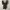 Grunge Goth Evening dress Wanita black photo 5