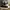 Rick Owens Streetwear Luxury Casual shoe Pria white black photo 4