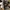 Rick Owens Streetwear Luxury Casual shoe Pria white black photo 3