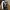 Rick Owens Streetwear Luxury Casual shoe Pria white black photo 1