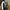 Rick Owens Streetwear Luxury Casual Shoe Pria White Black