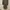 ZARA Minimalist Casual Going out dress Wanita gray photo 1