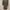 ZARA Minimalist Casual Going Out Dress Wanita Gray