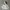 Vintage Streetwear Hoody Pria gray photo 1
