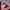Hysteric Glamour Vintage Streetwear T-shirt Pria red photo 2