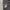 MLB Streetwear Sportswear Sweatshirt Pria black gray photo 2
