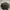 MLB Streetwear Sportswear Sweatshirt Pria Black Gray