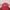 Beverly Hills Polo Club Casual Hat Pria red photo 1