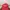 Beverly Hills Polo Club Casual Hat Pria Red