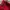 Beverly Hills Polo Club Casual Hat Pria red photo 6