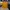 Streetwear Y2K T-shirt Pria yellow photo 2