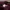 Beanpole Casual Hat Pria burgundy photo 6