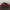 Beanpole Casual Hat Pria burgundy photo 5