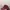 Beanpole Casual Hat Pria burgundy photo 4