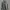 Alpha Industries Streetwear Casual Parka Pria gray photo 1
