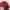 Casual Hat Pria red photo 6