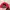 Casual Hat Pria red photo 5