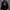 Converse Streetwear Parka Pria black photo 1