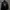 Converse Streetwear Parka Pria Black