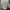 Versace Streetwear Casual Windbreaker Pria white photo 7