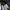 Casual Track jacket Pria navy photo 4