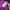 A Bathing Ape Casual Sweater Pria multicolor photo 5