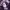 A Bathing Ape Casual Sweater Pria multicolor photo 4