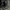 Frank Stone Biker Windbreaker Pria black photo 7