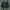 Frank Stone Biker Windbreaker Pria black photo 8