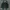 Frank Stone Biker Windbreaker Pria black photo 1