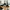 Adidas Streetwear Sportswear Sneakers Pria white black photo 3
