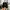Adidas Streetwear Sportswear Sneakers Pria white black photo 6