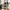 Stone Island Streetwear Sportswear Sneakers Wanita multicolor photo 6