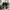 New Balance Streetwear Sportswear Sneakers Wanita white black photo 4