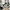 Nike Streetwear Sportswear Sneakers Wanita multicolor photo 1