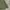 Minimalist Casual Kimono Pria green photo 4
