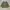 Minimalist Casual Kimono Pria green photo 5