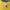 Y2K Grunge T-shirt Pria yellow photo 2