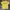 Y2K Grunge T-shirt Pria Yellow
