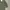 Streetwear Minimalist Puffer Jacket Pria Green